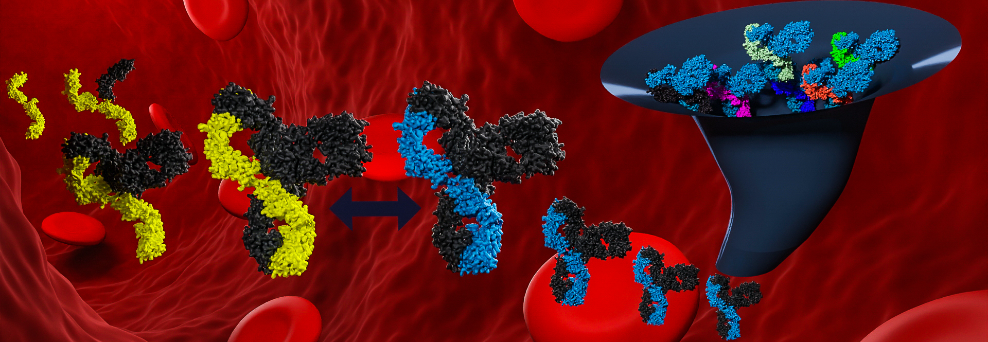 3d render of igG antibodies falling throug a funnel and getting degradated in a red blood vessel scene generated by Biofidus AG