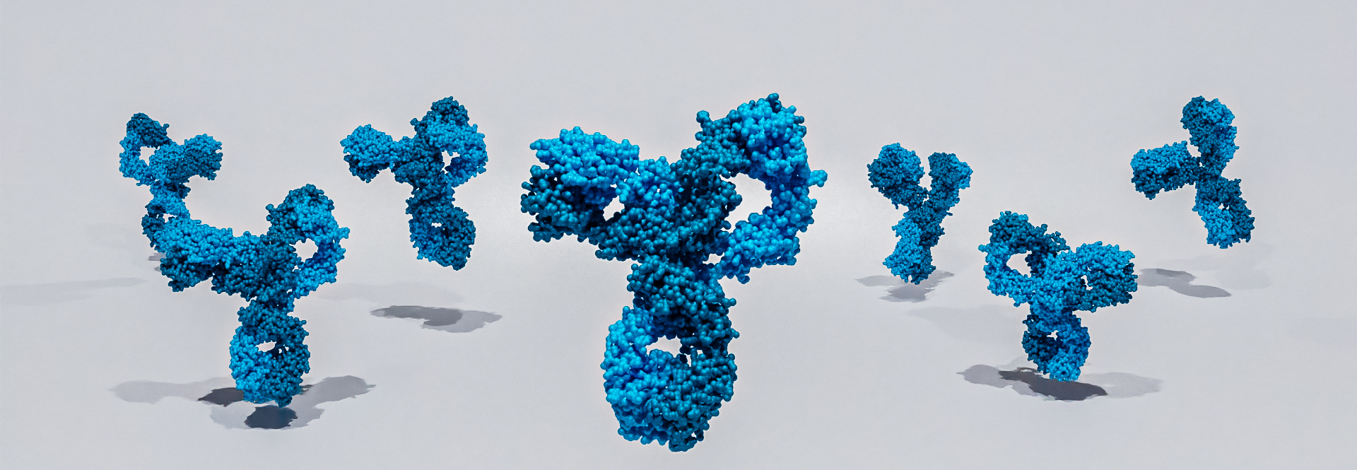 Characterization of bispecific antibodies