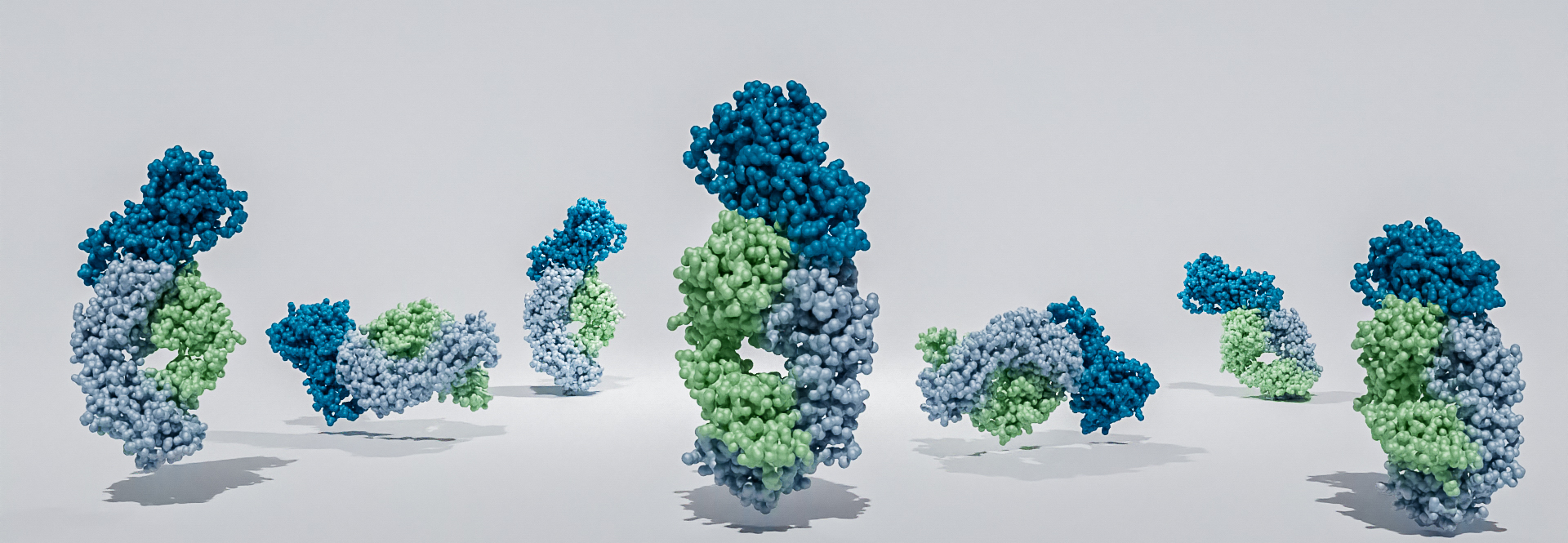 Characterization of Fusion Proteins. 3D render of fusion protein