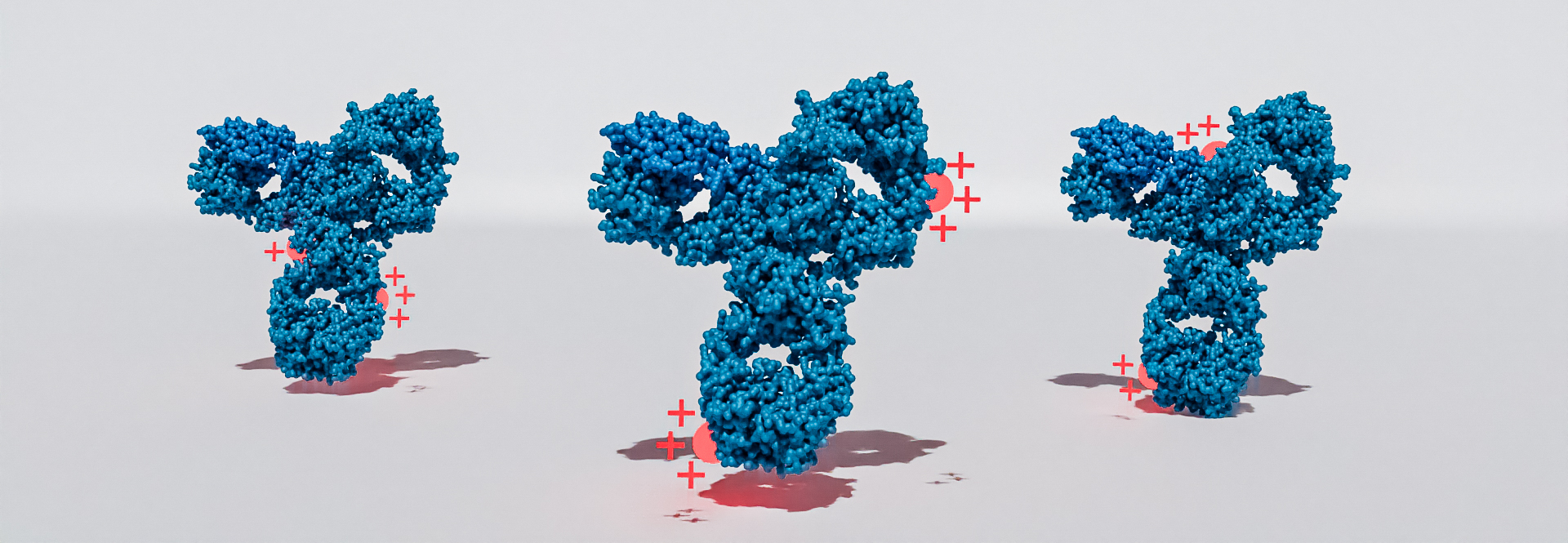 Charge Heterogeneity. 3D render antibodies carrying an electrical charge