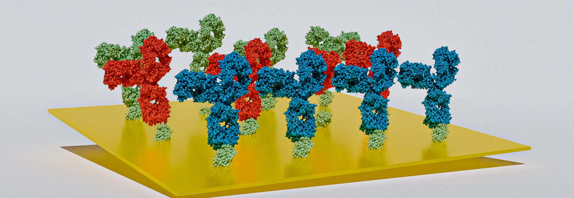 SPR Analysis. 3D render of antibodies binding receptor molecules bond ti a golden chip