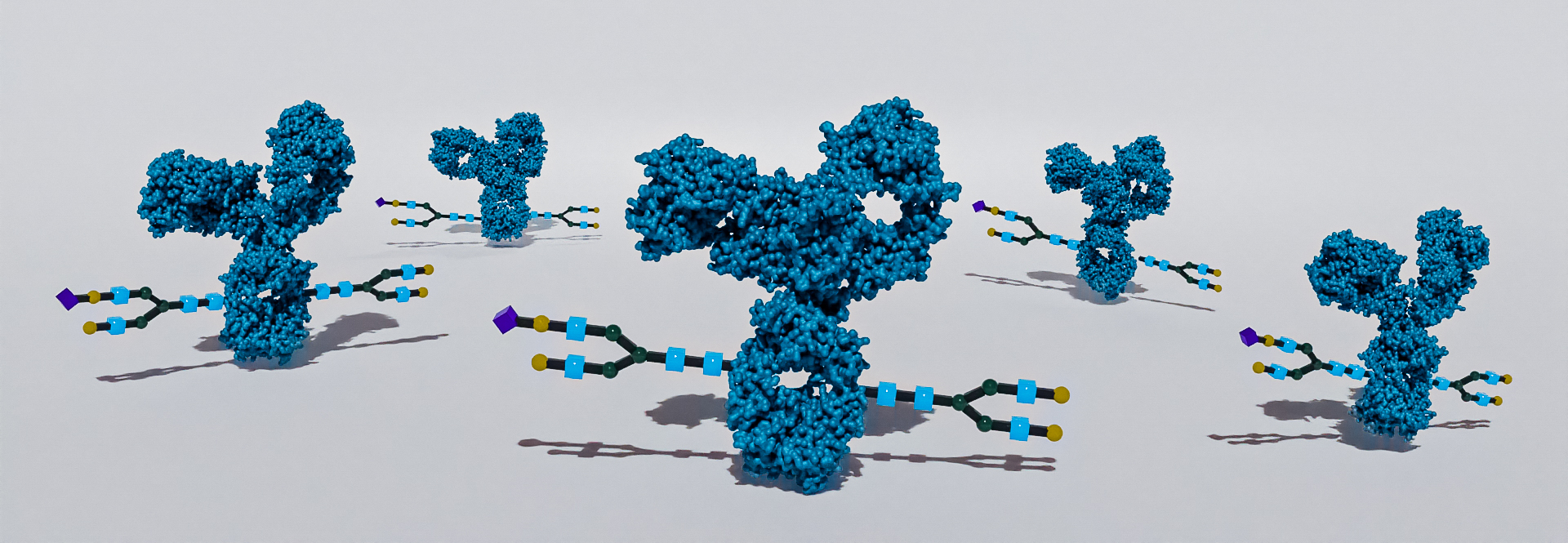 Glycoanalysis. 3D render of antibody carrying a glycosylation